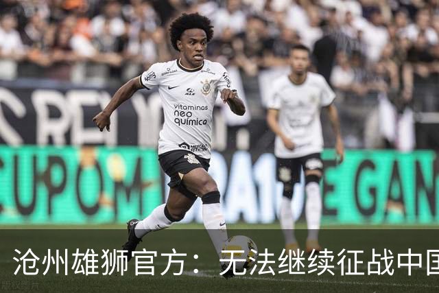 沧州雄狮官方：无法继续征战中国足球职业联赛